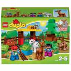 ������ �������� Duplo