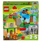 ������ �����: ���� Duplo