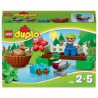 ������ � ���� Duplo